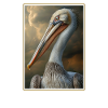 Pelicans Pelican