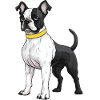 French Bulldog Dog