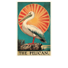 Pelicans Pelican