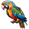 Parrot Ara Bird