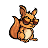 Squirrel Cool Animal