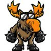 Moose Cool Animal