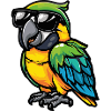 Papagai Cool Animal