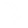 Snowboarder Fingerprint Snowboard