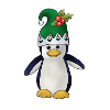 Wichtelpinguin