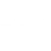 Heartbeat Flight: Birds on the Line