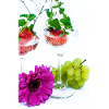 Fruchtige Gläser mit Blüten Stillleben
