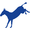 Rebellious Donkey