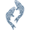 Blue Koi