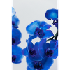 Cobalt Blue Orchids Dream