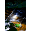 Moonlight Waterfall Riverbed