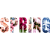 Spring - Frühlingsdesign