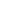 2009