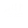 Veganer Evolution