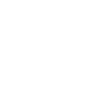 2022 limited edition