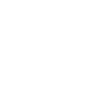 2025 limited edition