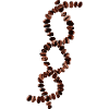 Coffee DNA - Helix