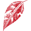 Jerusalem artichoke leaf - Red