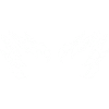 claws 02