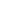 Hockey Fights