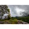 Nebelwald am Felsplateau