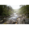 Flusslandschaft im Waldwald