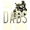 Coolest Dad's Ride Bikes