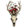 Skull and Mushrooms