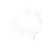 3d head
