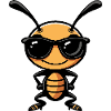 Ant Cool Animal