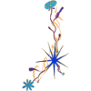 Cancer – Elegant Zodiac Sign and Flowers