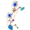 Aquarius – Magical Zodiac Signs and Flowers
