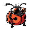 Ladybug Cool Animal
