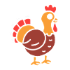 turkey