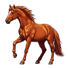Das Pferd: Ein edles Tier