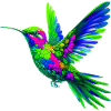 Hummingbird