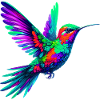 Colibri