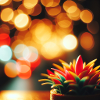 Bunte Sukkulente mit Lichtern
