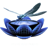 Evolve and Thrive Dragonfly Design