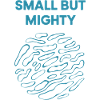 Small But Mighty Bold Design