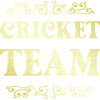 Cricket Team