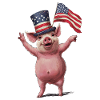 Schwein