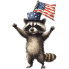 Waschbär