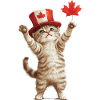 Katze