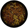 Turing Pattern
