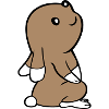 Rabbit looks up watching stars