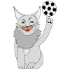 Cat with football
