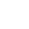 1933 1933 1933