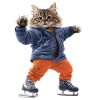 Katze