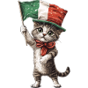 Katze